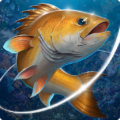 Fishing Hook Mod APK 2.4.7 (Unlimited money)