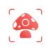 Picture Mushroom – Mushroom ID Mod APK 2.9.19 (Unlocked)(Premium)