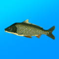 True Fishing. Simulator Mod APK 1.16.3.812